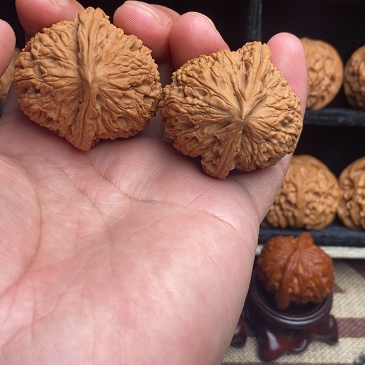 全品水龙纹40尺寸