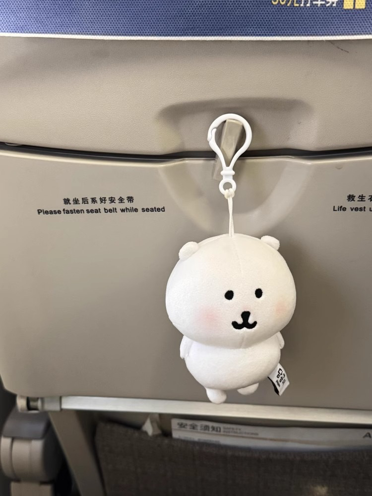 三标齐全自嘲熊毛绒玩具包包玩偶公仔女生生日礼物