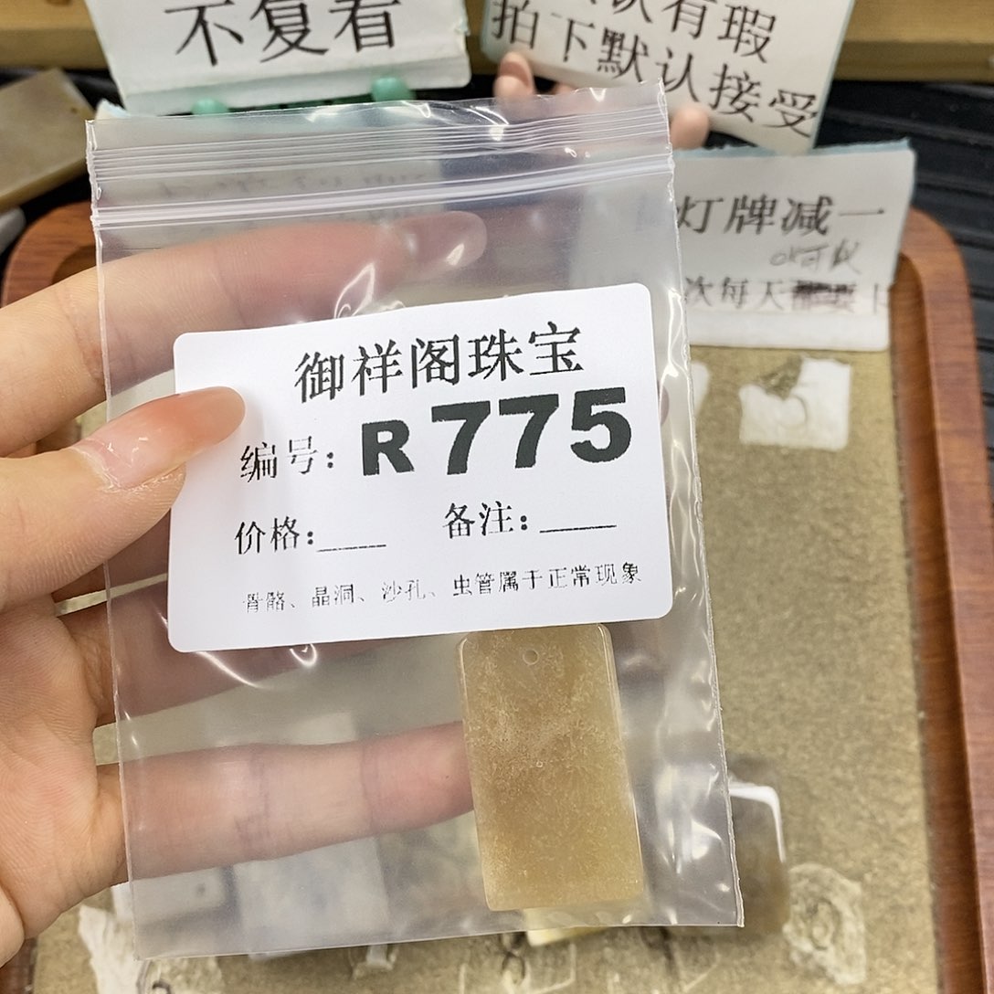 硅化珊瑚（珊瑚玉）未镶嵌颈饰浅**珊