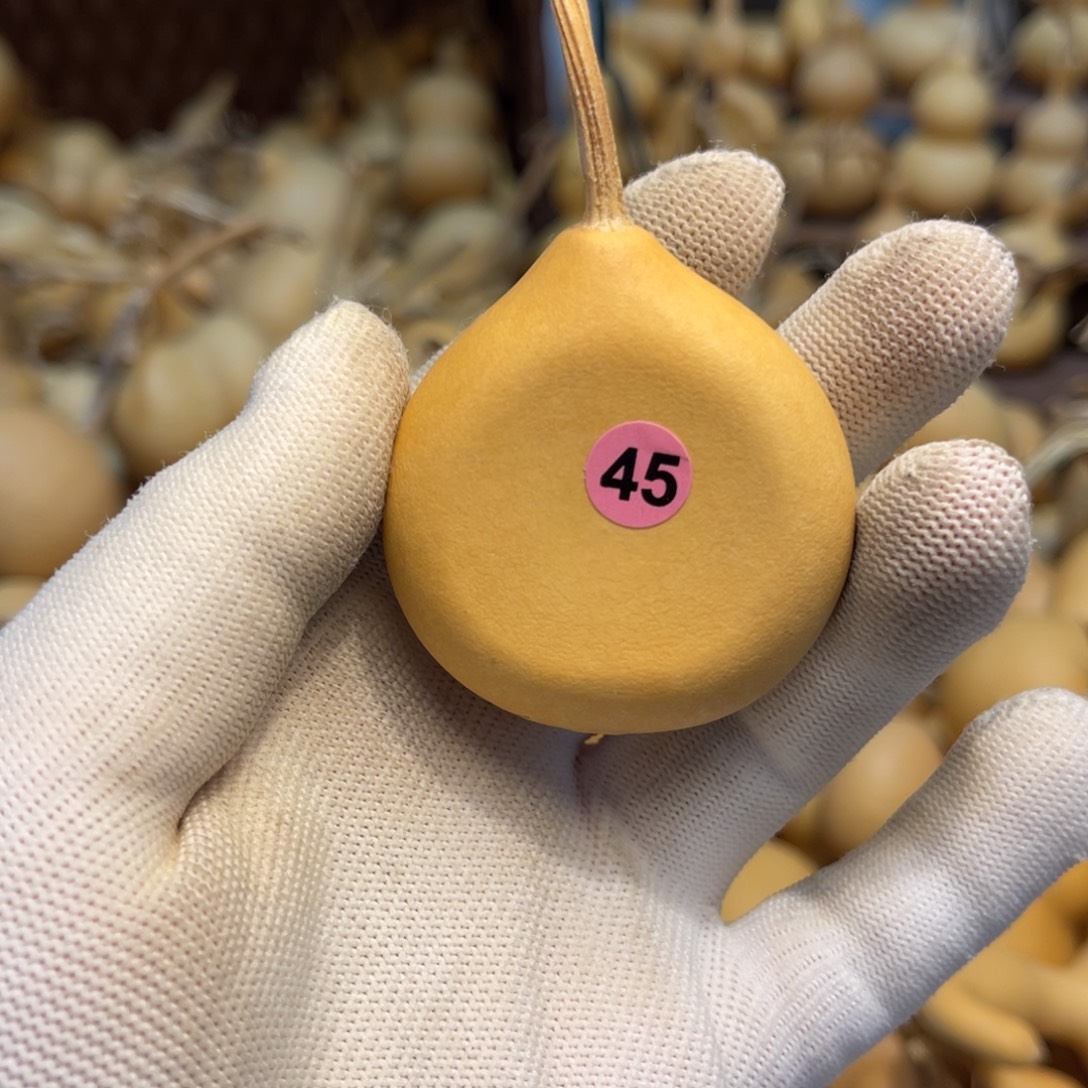 闪拍葫芦链接-45号品