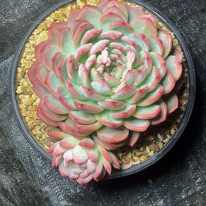 福*9/////////////////