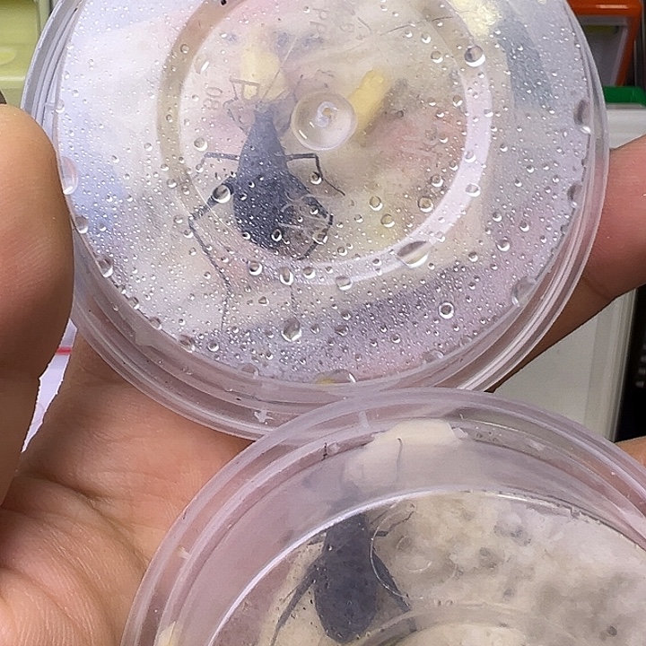 小***铛哈哈哈哈哈哈哈哈哈