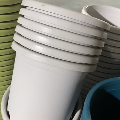 树脂微瑕5号6个无托灰白