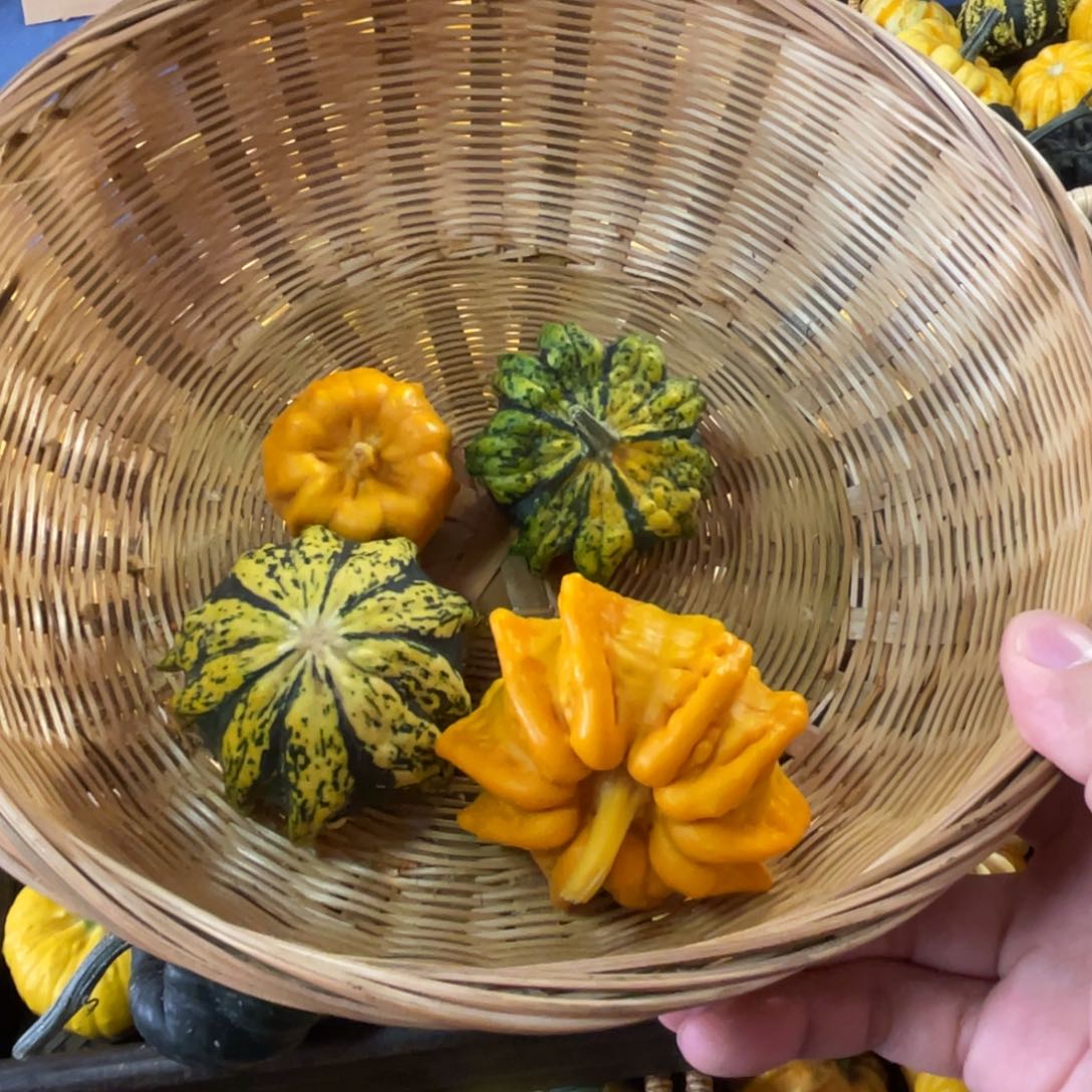 清*666666666666666666