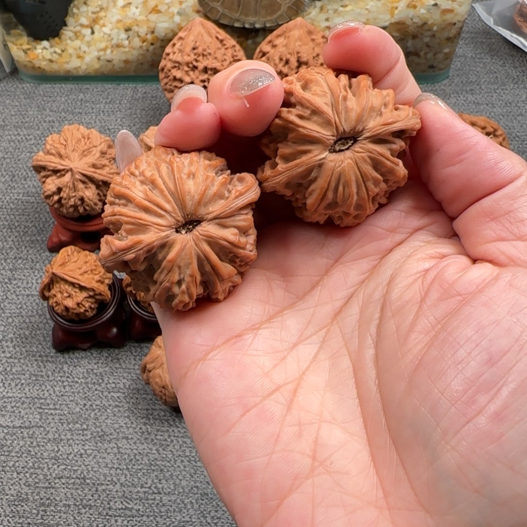把件文玩核桃核桃