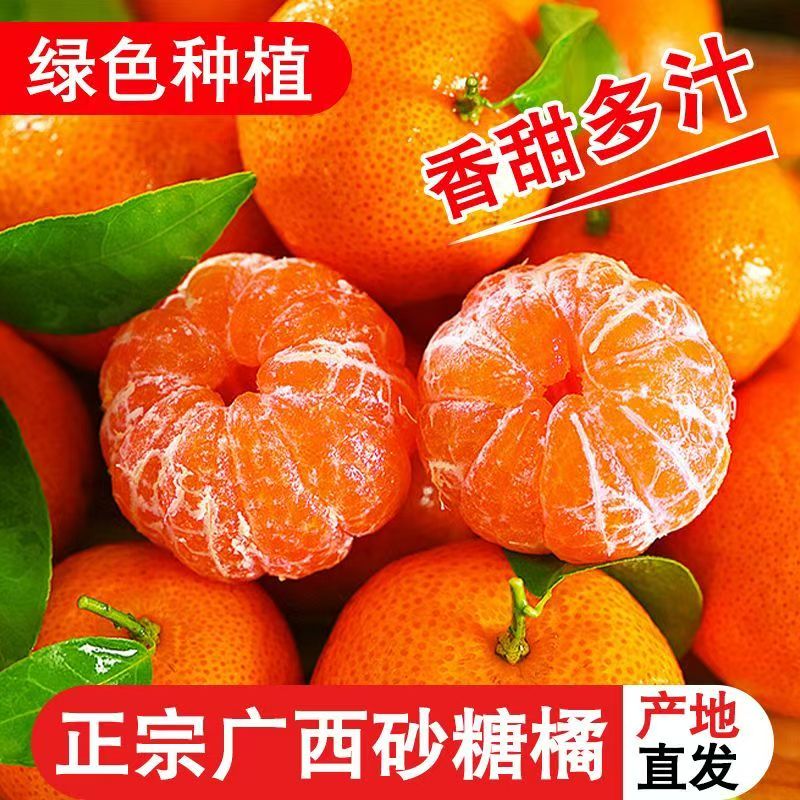【正宗】现摘正宗金秋5斤砂糖橘当季水果新鲜薄皮橘子沙糖桔整箱Y