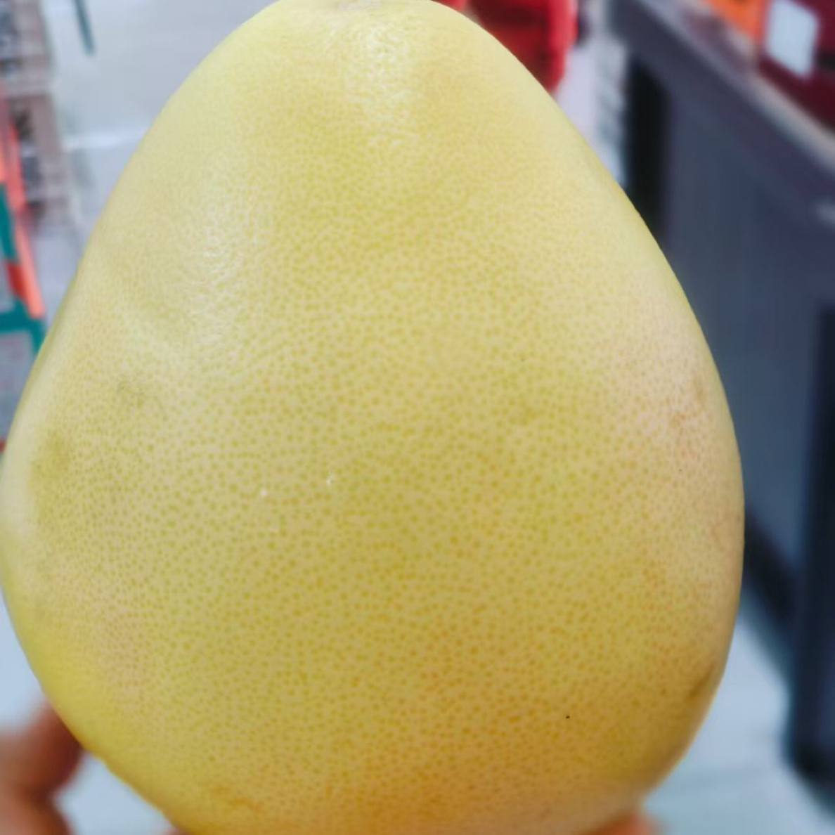 果切阿果哥红心柚子一个（约900g）