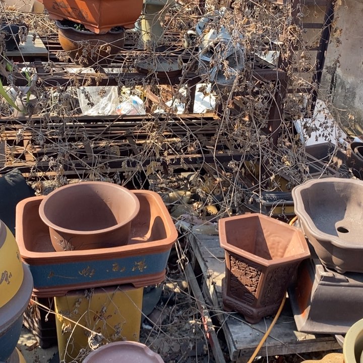 红陶紫砂花盆组合的设计师们快来