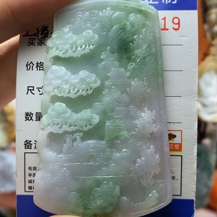 翡翠颈饰未镶嵌每天
