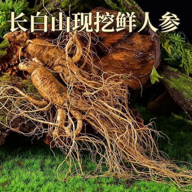 （性价比首选）长白山新鲜带土人参250克—500克（送花枸杞）