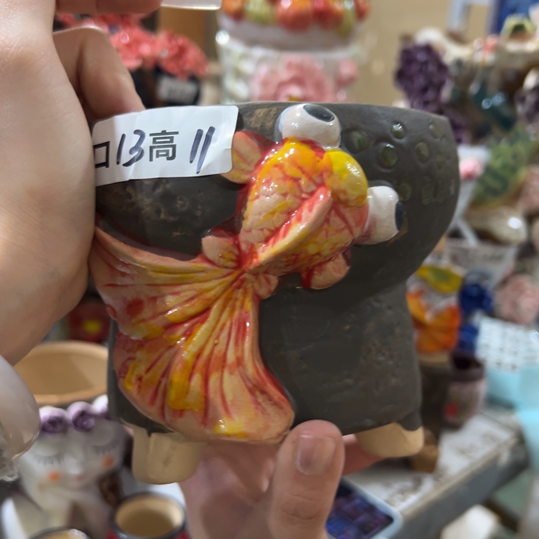 满20发多肉花盆爱退拉黑