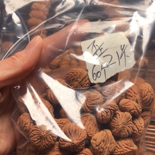 桃核手串三****术五爪金龙散籽偏脊2160