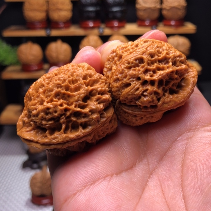 【闪购商品】蟾王14