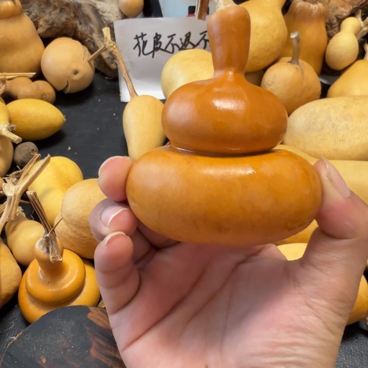 全***哥66…………………………………………