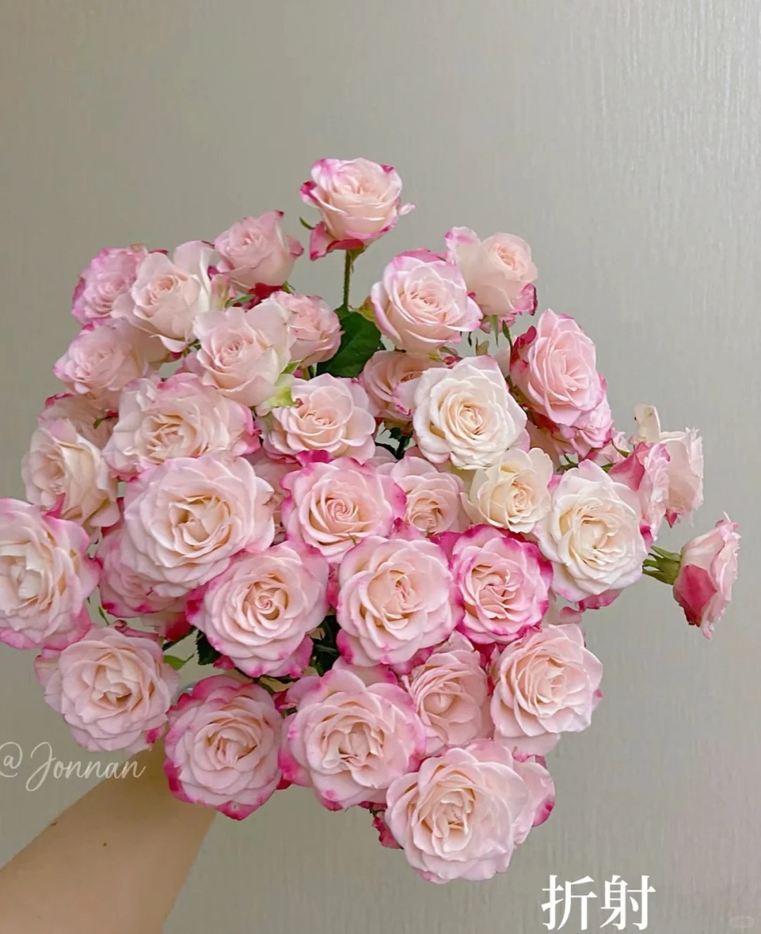 【浙里花】巧克力+折射玫瑰   两单升级EMS空运/京东冷链