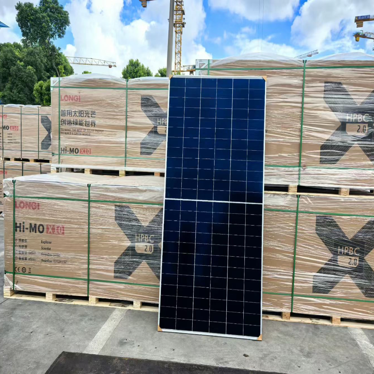 隆基X10全新A级单面650瓦