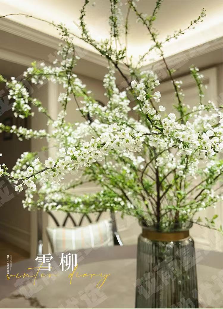 雪柳鲜枝水培耐寒开花室内绿植遇水枯木逢春成花