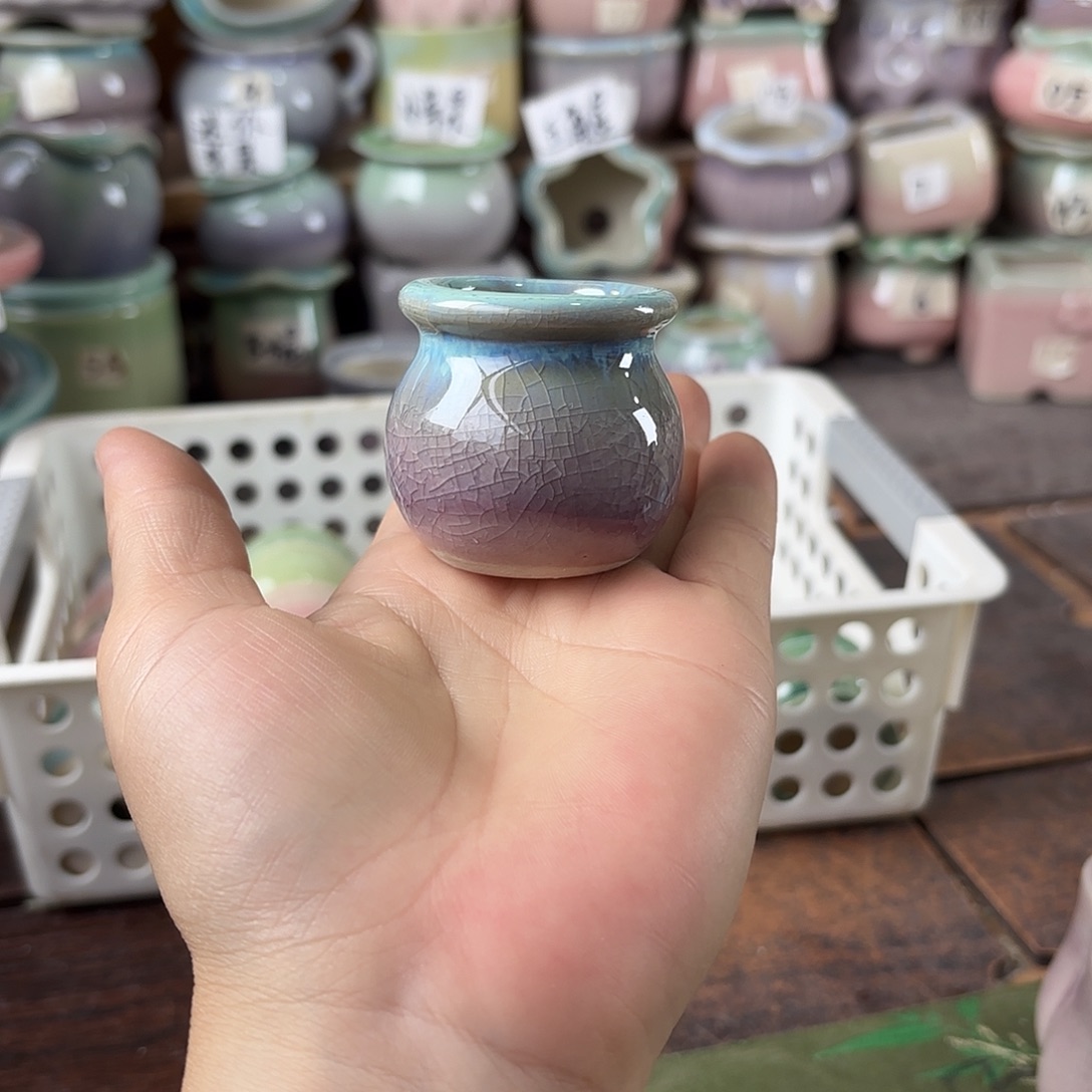 量货/3口高4深浅搭配发12