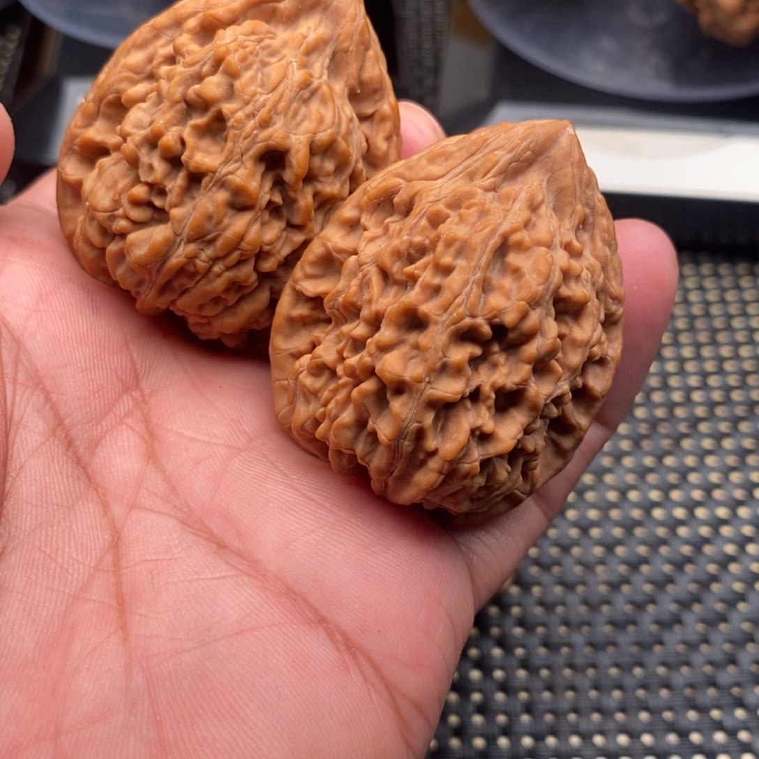 文玩核桃吊坠蚂蚁王