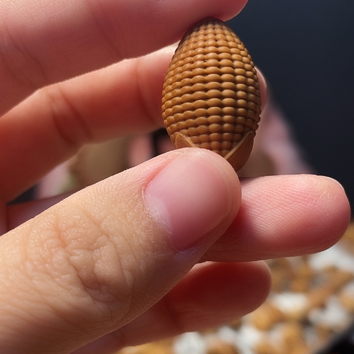 吊坠橄榄核橄榄核