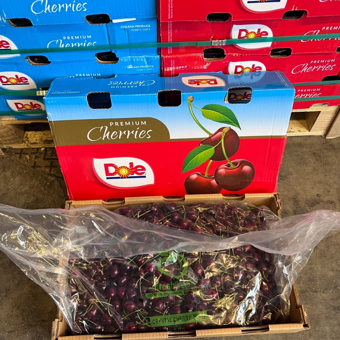 【临汾同城送】都乐蓝天白云智利海运桑提娜车厘子XL【2斤】 脆甜 肉厚核小 应季水果内附果径卡桑提娜智利智利