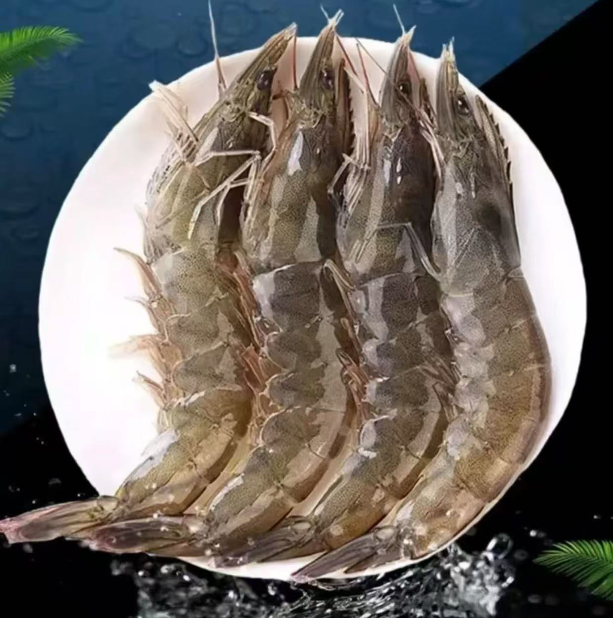 H 四斤海洋大虾 15-18只/斤 活虾速冻锁鲜 整箱四斤