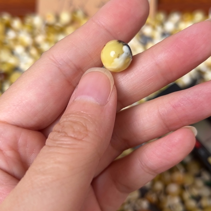 蜜蜡未镶嵌裸石10