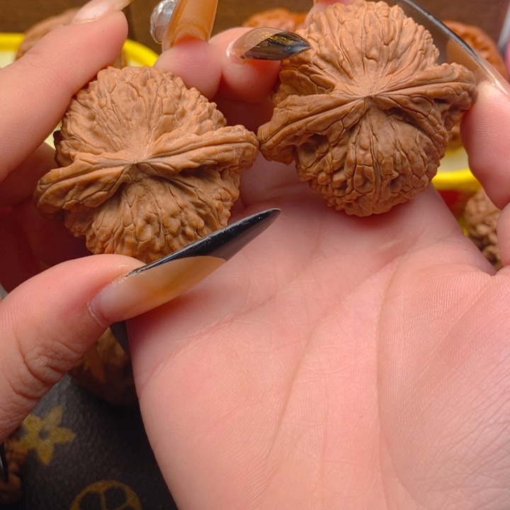 龙*风白狮子全品43尺寸文玩he t