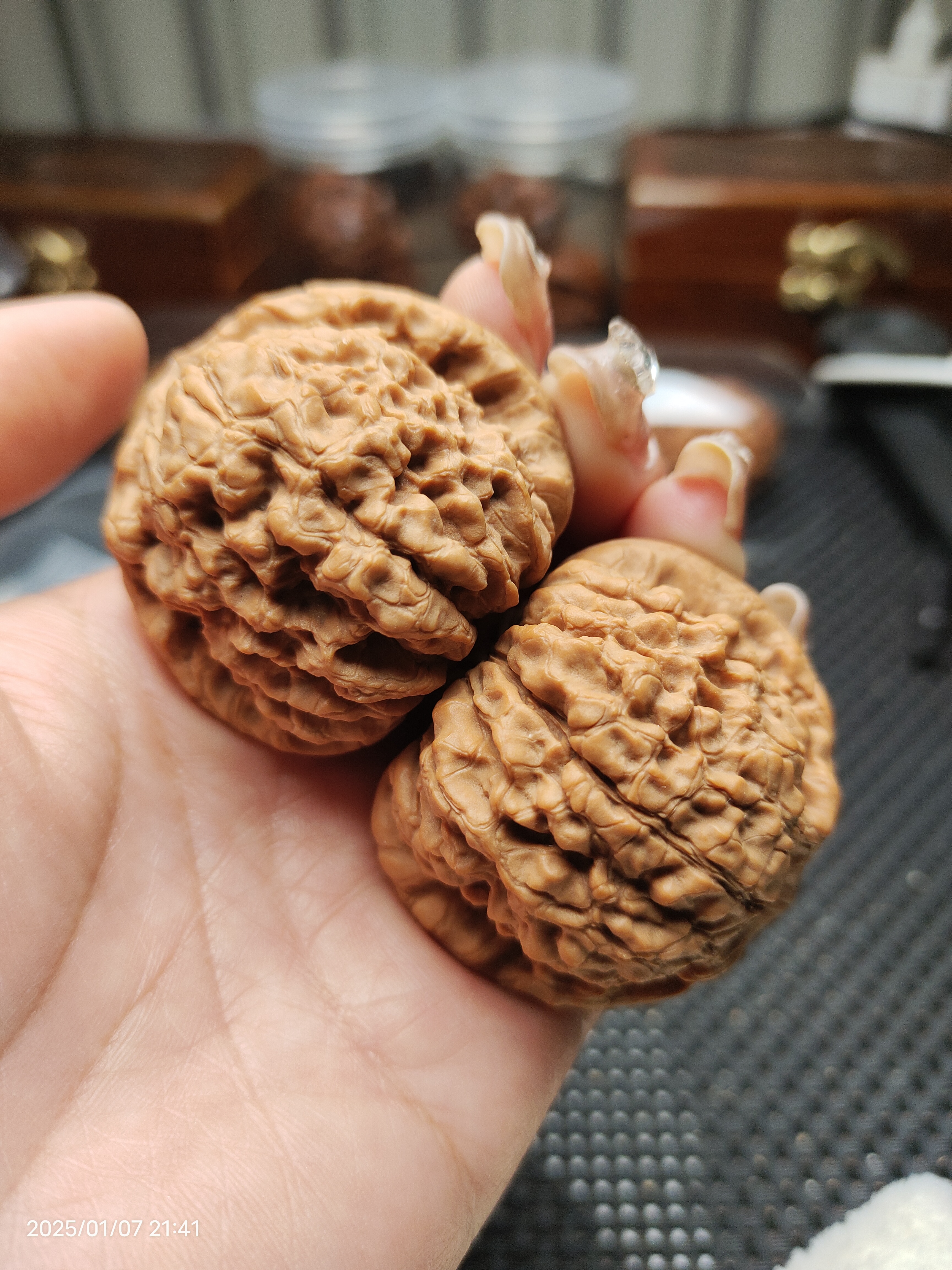 文玩核桃49尺寸全品龙鼎