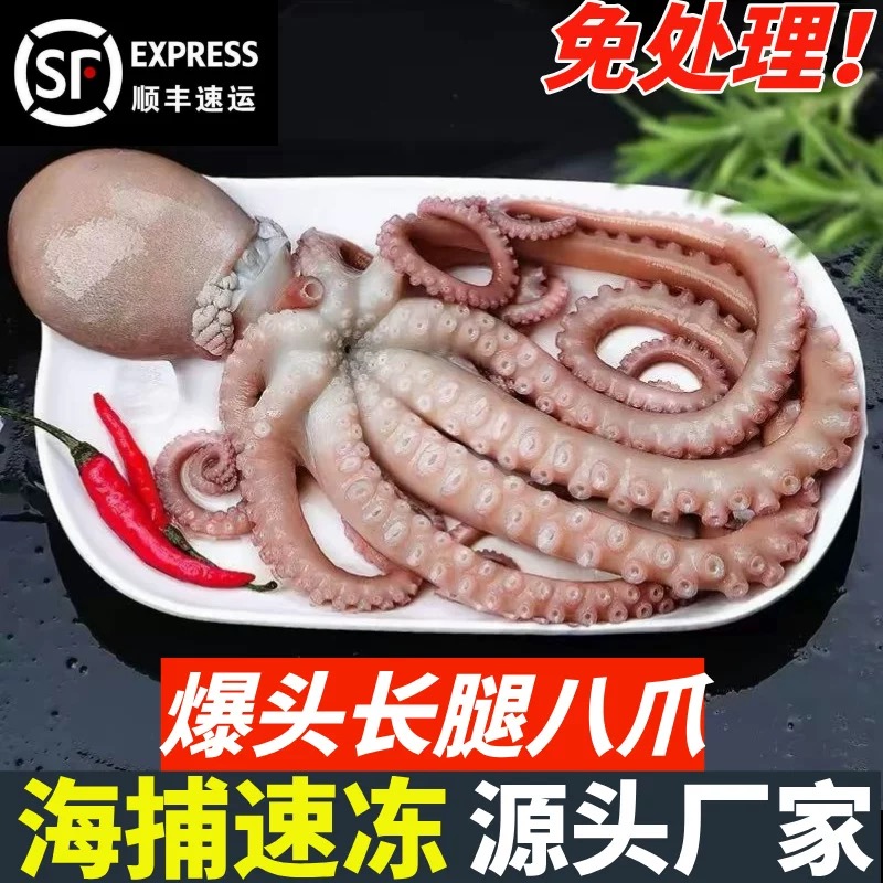 （超大）鲜活冷冻长腿爆头八爪鱼 2斤-4斤 顺丰包邮