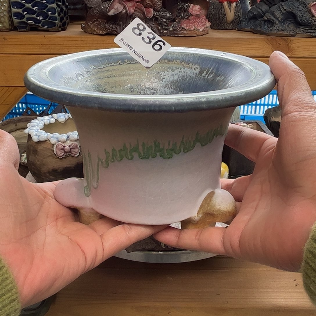 好多年不见他836