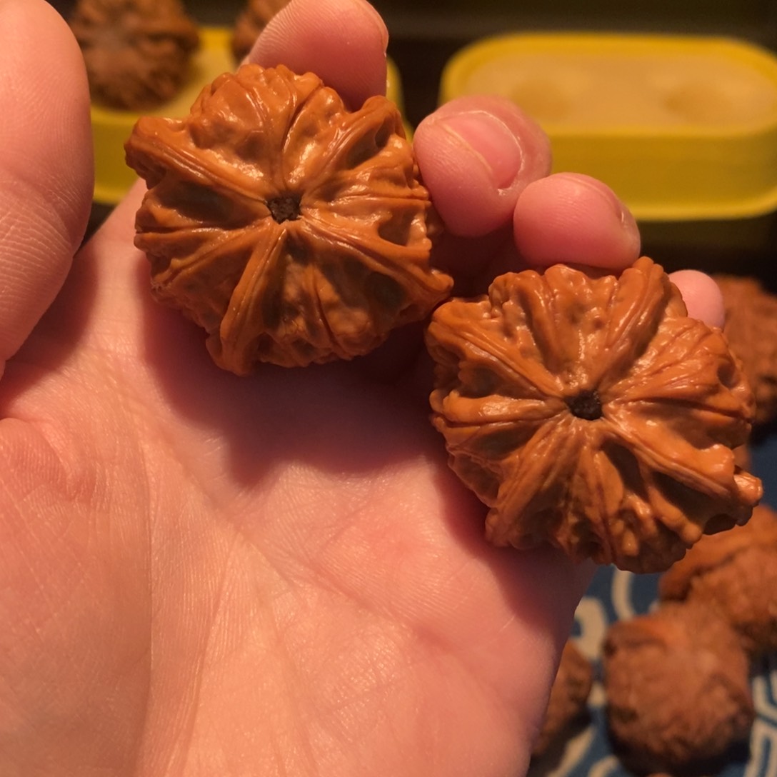 手串/手链核桃大*