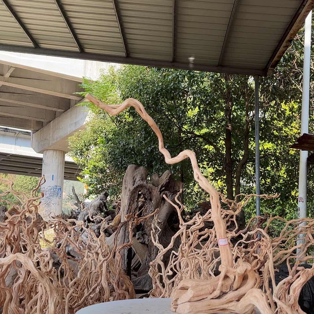 郑***勇木我的小姐姐们都是我的小可爱们