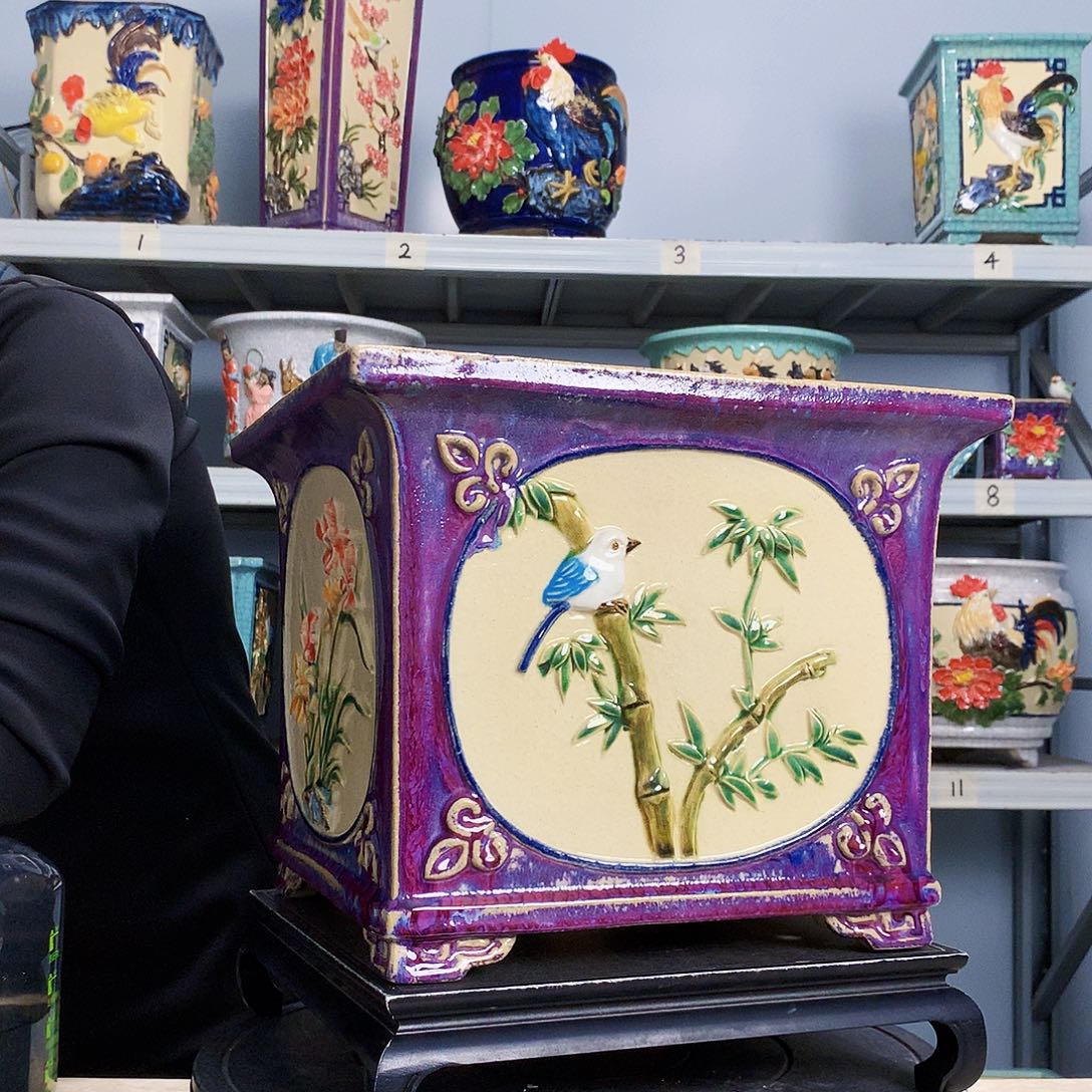 尼*斯实物拍摄湾盆石湾盆