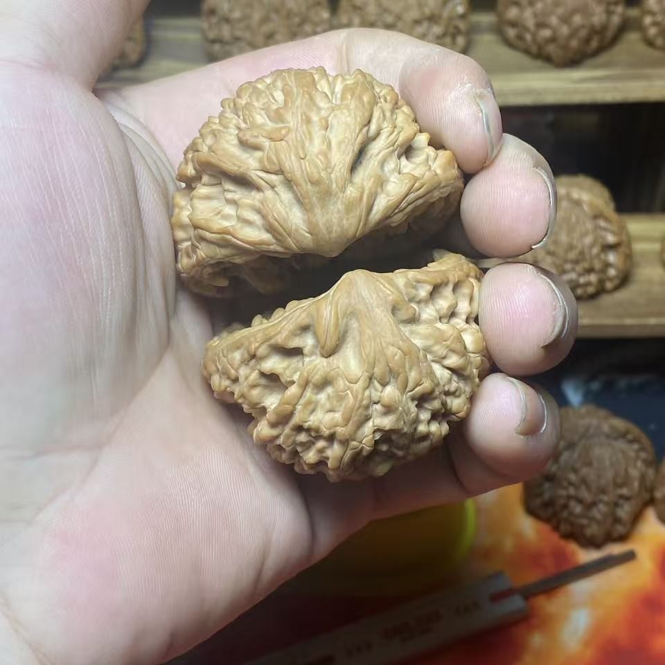 官帽聚宝盆50全品