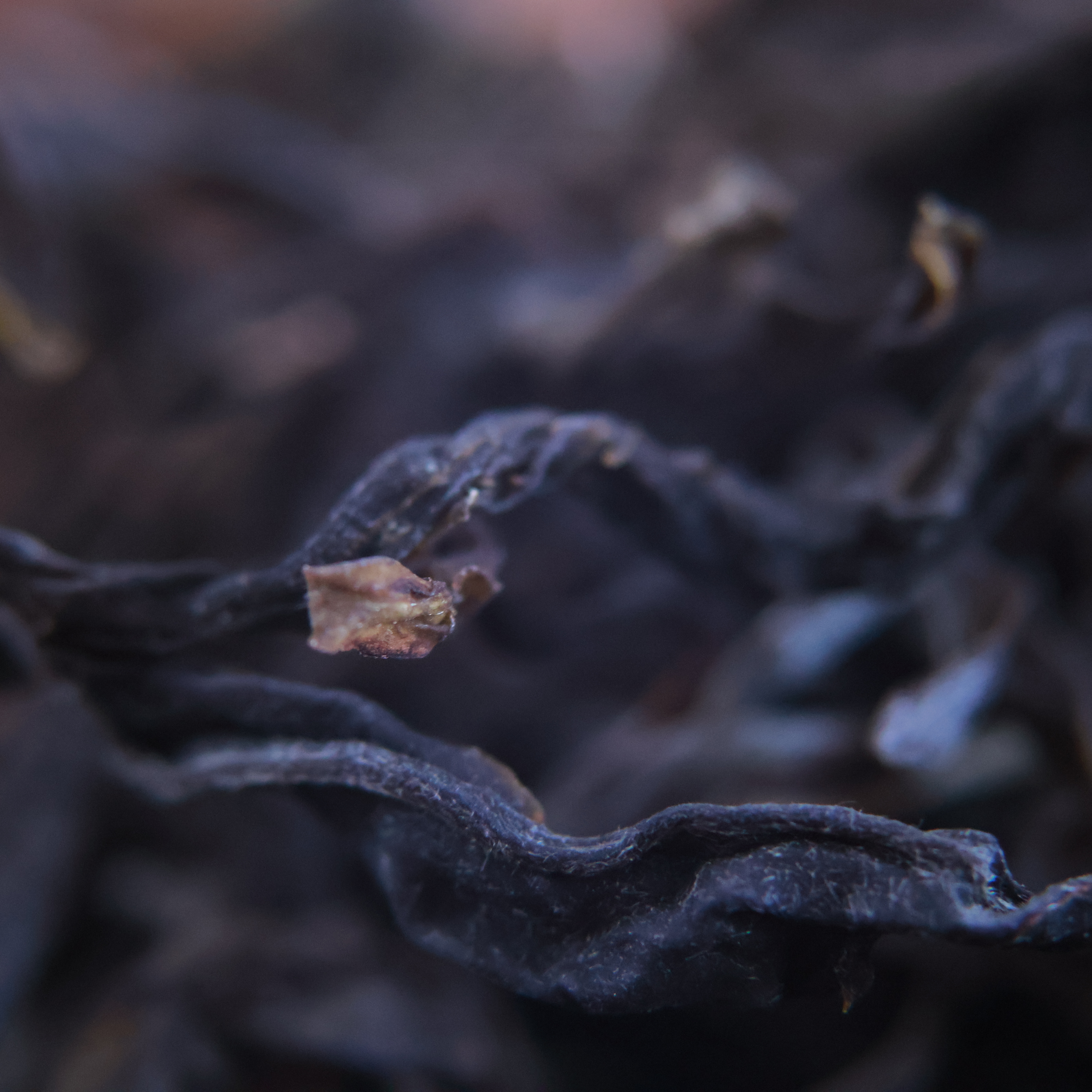 瑶涧凝香       云南茗片