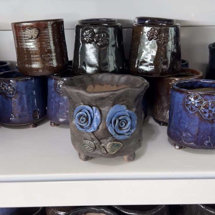 特价多肉花盆百搭