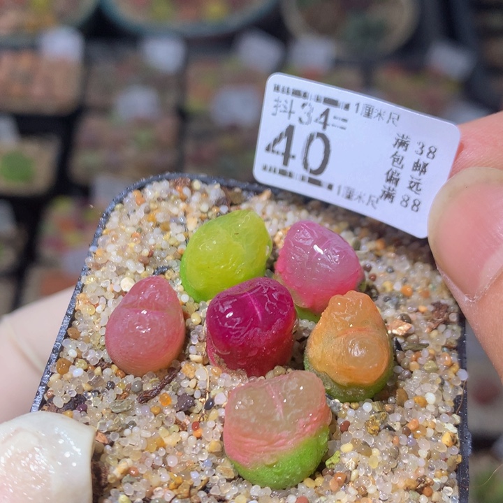 开播福利多多34.40