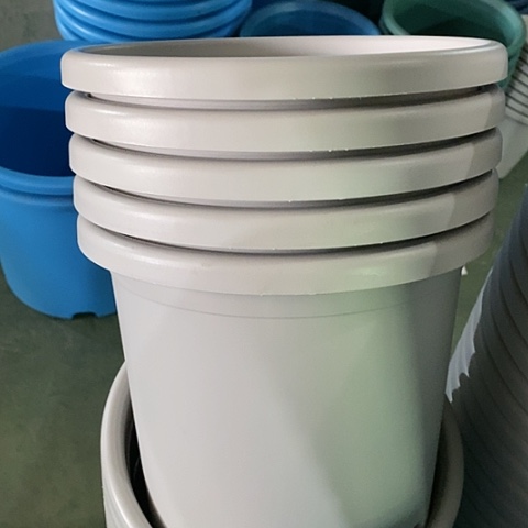 树脂四季4号5个无托灰白