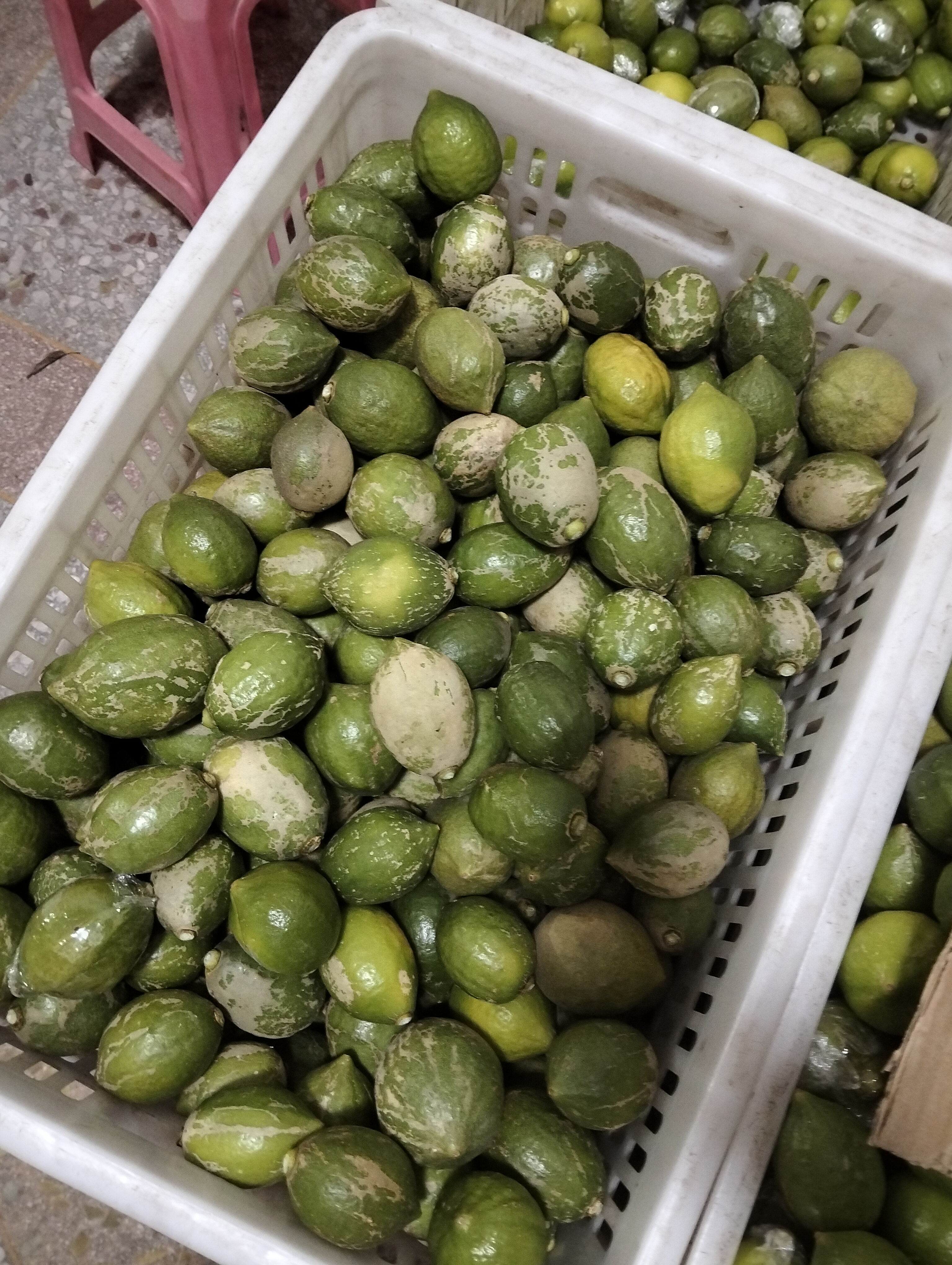 广东香水柠檬 花皮果