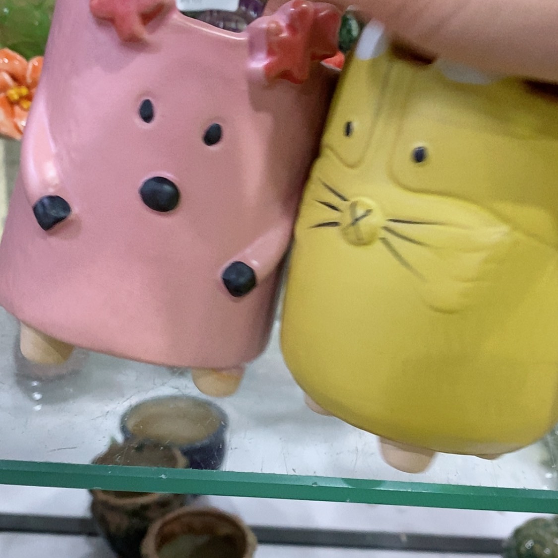 【闪购商品】红陶福利