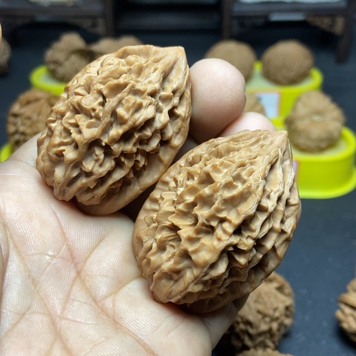 核桃迷*招财鼠888