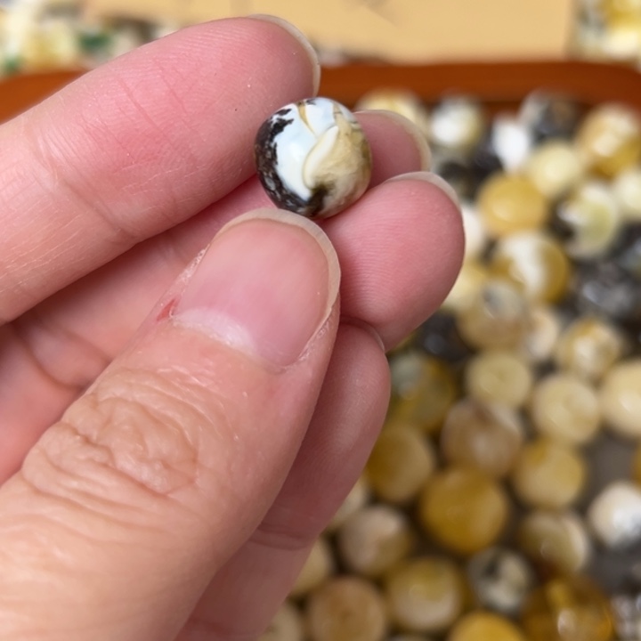 蜜蜡未镶嵌裸石10.4mm一个