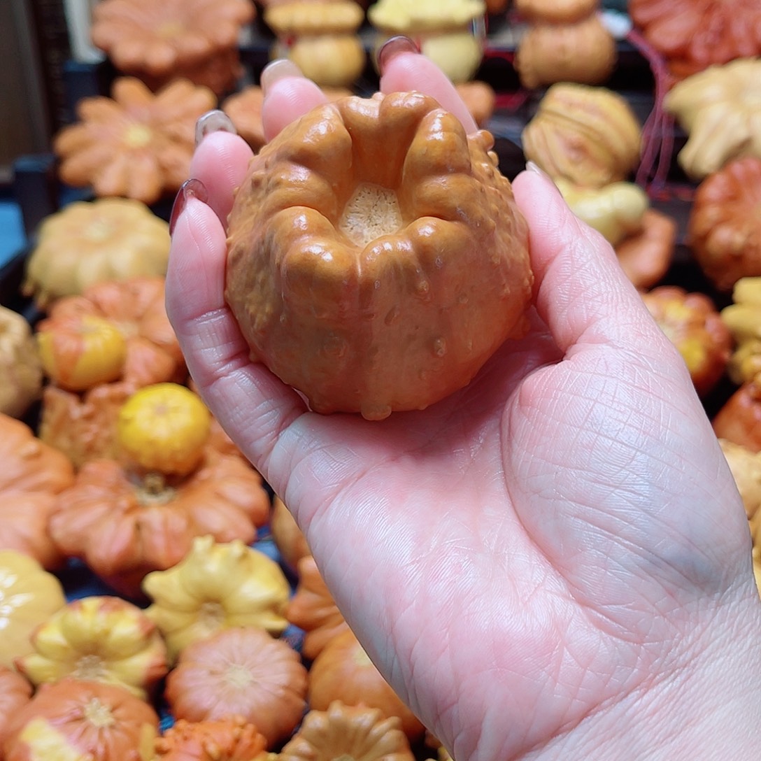 大叶紫檀（黑酸枝木类）