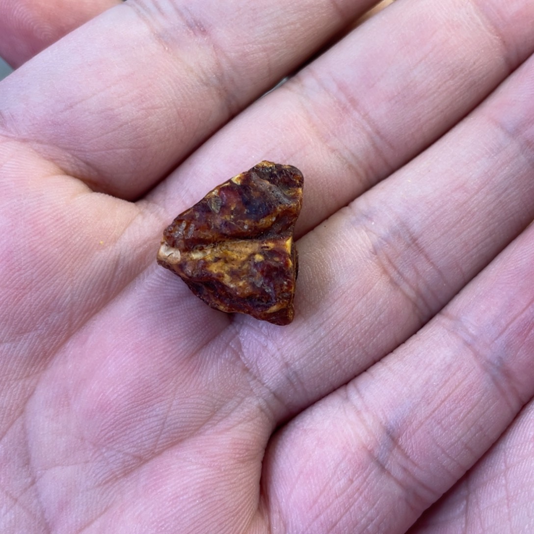 亮***亮定制琥珀天然琥珀