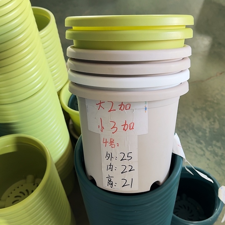 四季4#口径25灰白5个无托