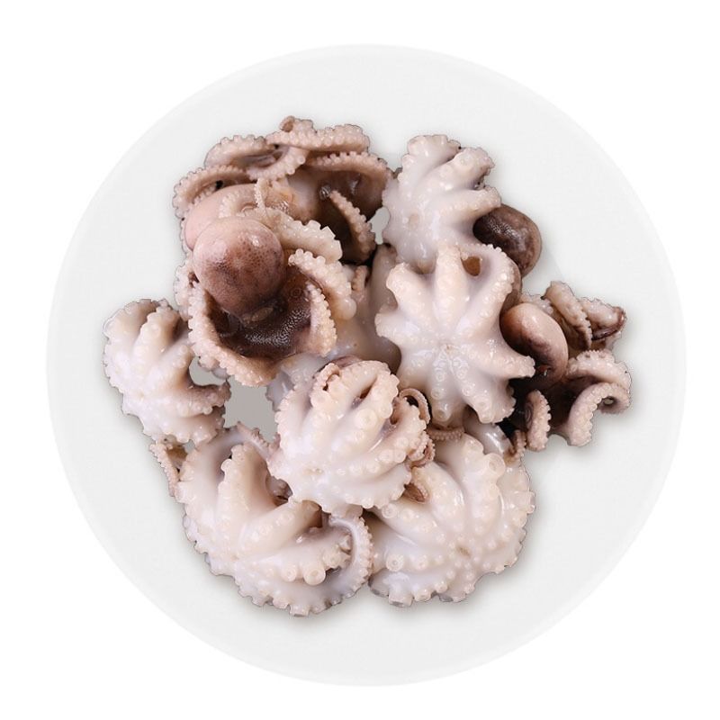 八爪鱼500g/份