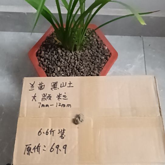 用***5兰菌黑山土大颗粒6.6斤