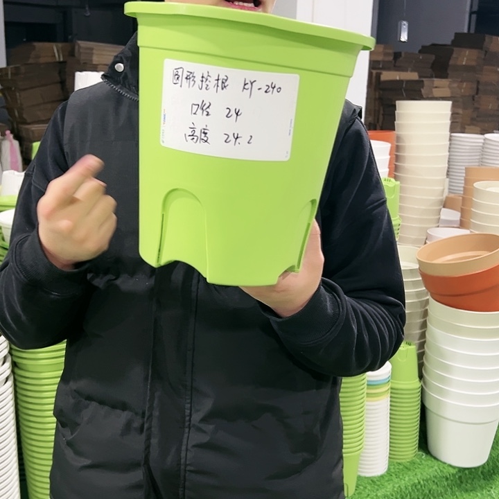 正品圆控口24高24果绿色8只无托