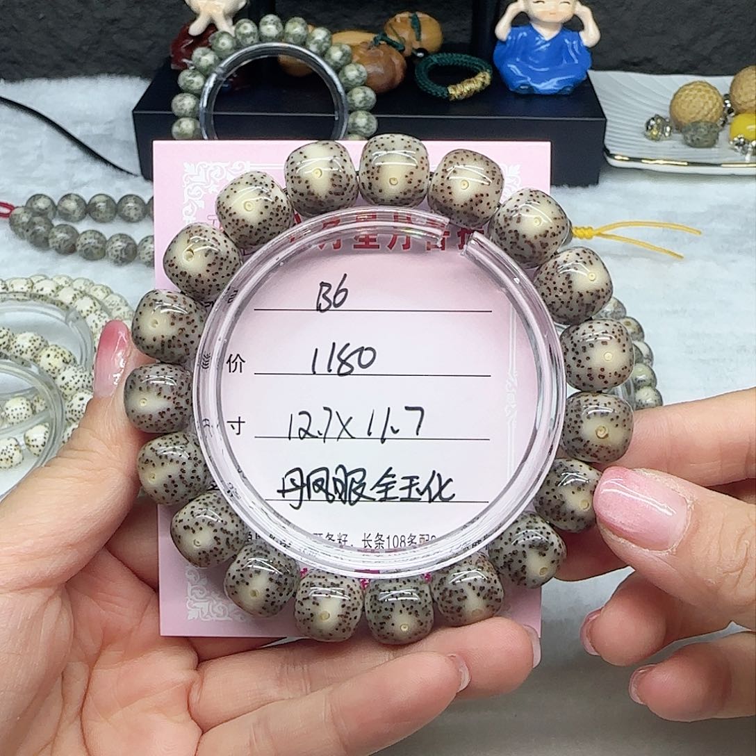 心月星月菩提一号B6
